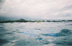 rreza snorkeling