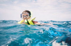 rreza snorkeling3