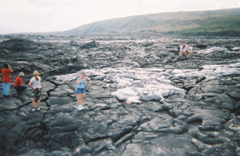 rreza and lava4