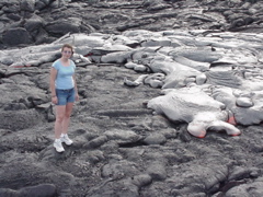 rreza and lava2