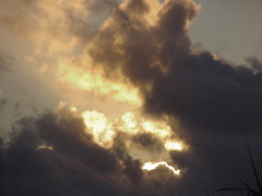 sunset5