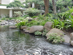 hotel garden