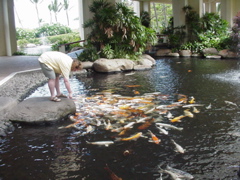 me with fish