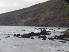 big island4