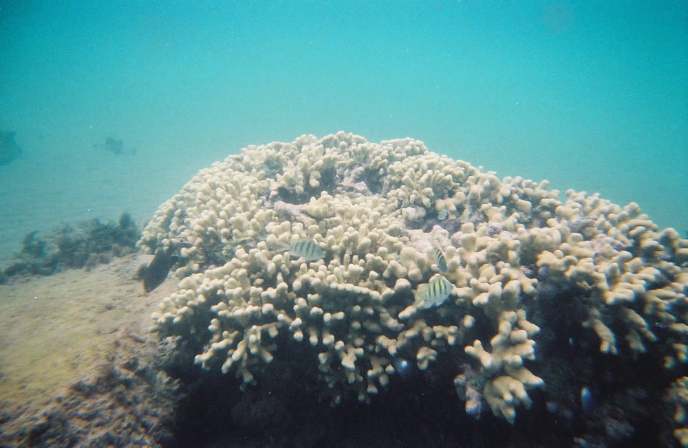 0136802-R1-E011