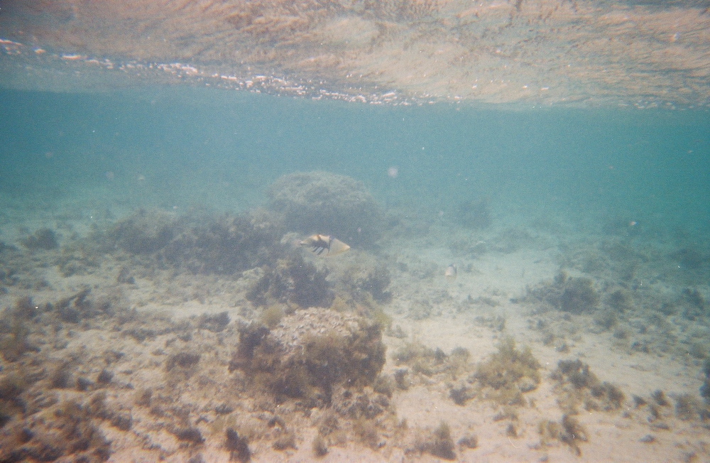 0136802-R1-E008