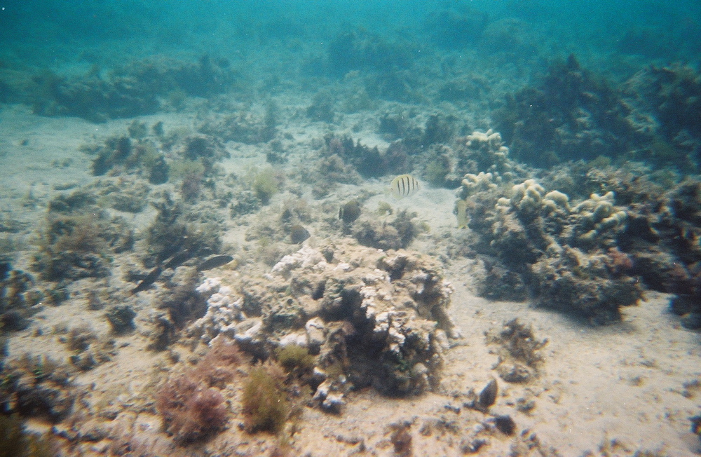 0136802-R1-E009