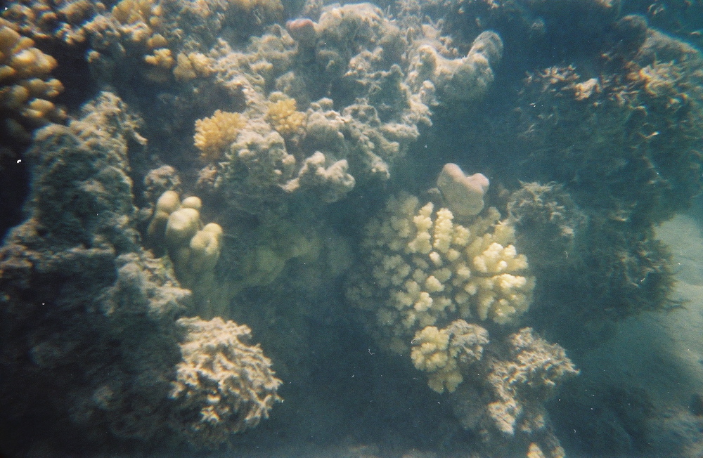 0136802-R1-E017