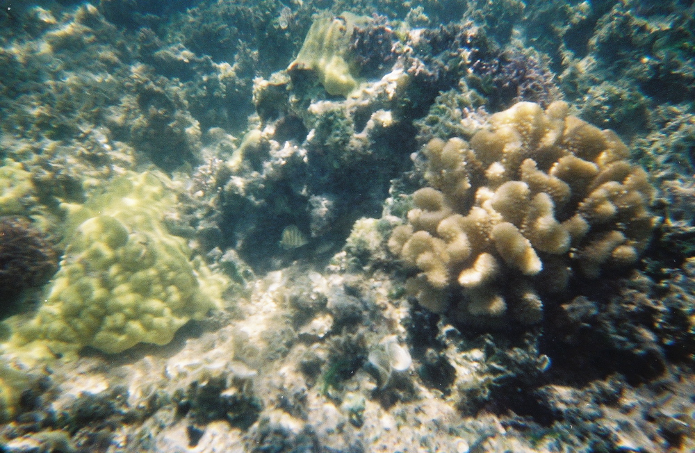 0136802-R1-E022