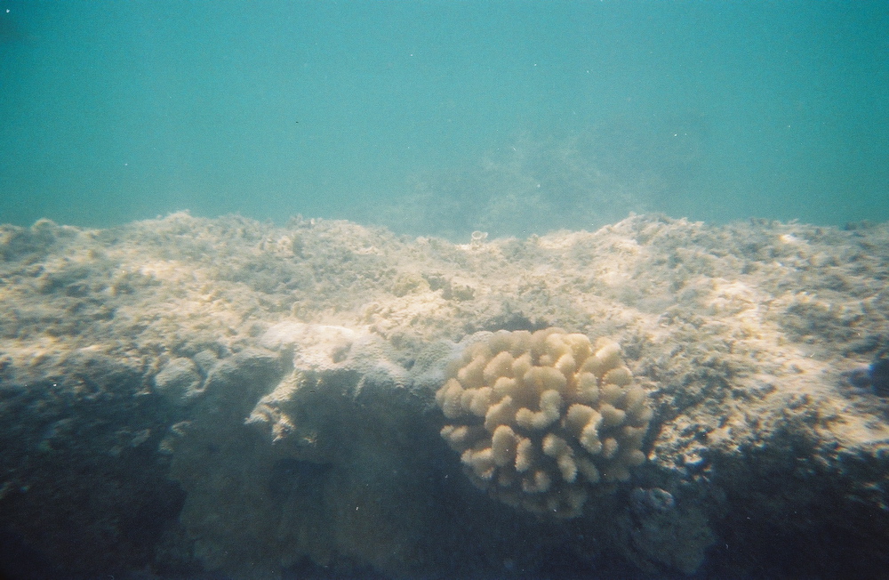 0136802-R1-E019