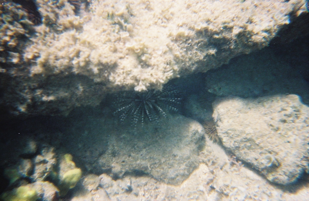 0136802-R1-E021
