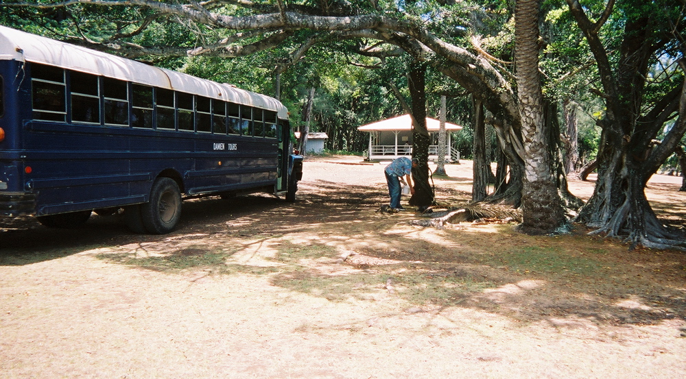 0137803-R1-025-11