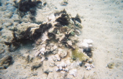 0136802-R1-E010