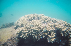 0136802-R1-E011