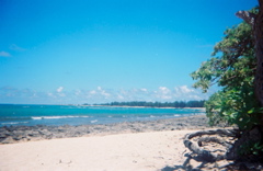 0136802-R1-E024