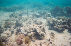 0136802-R1-E009