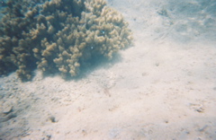 0136802-R1-E016
