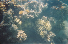 0136802-R1-E017