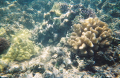 0136802-R1-E022