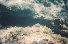 0136802-R1-E023