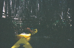 0136802-R1-E015