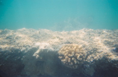 0136802-R1-E019