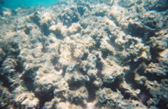 0136802-R1-E020