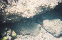 0136802-R1-E021