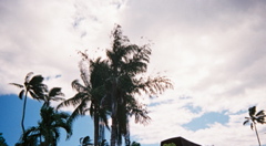 0137803-R1-013-5
