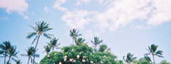 0137803-R1-015-6