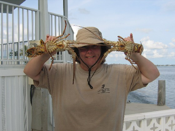 meandlobster