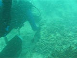 MVI_0800