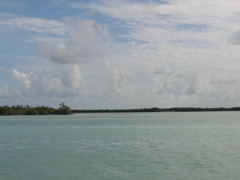 IMG_0753