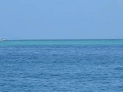 IMG_0771