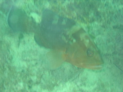 IMG_0839