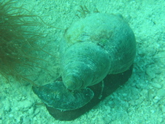 IMG_0851