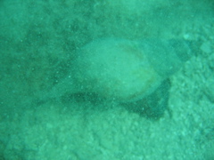IMG_0852