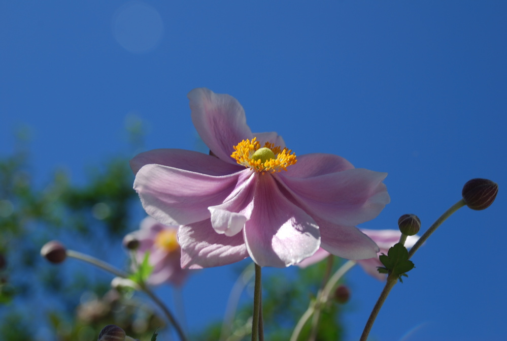 DSC_0123.JPG
