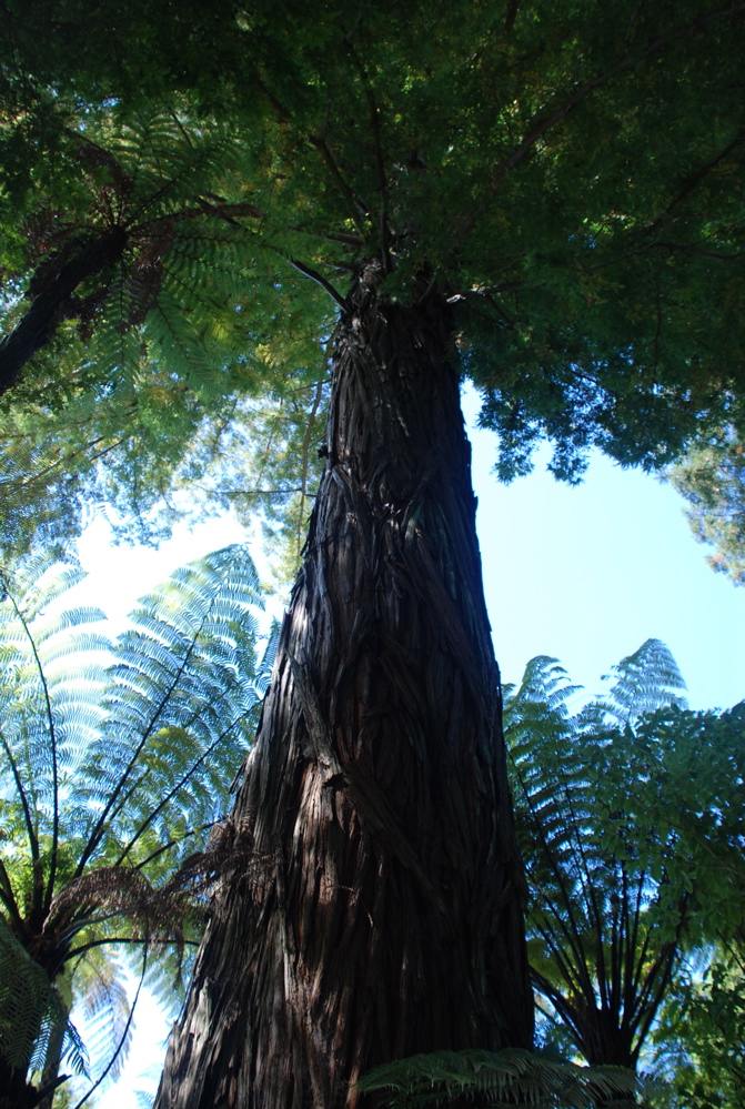 DSC_0136.JPG
