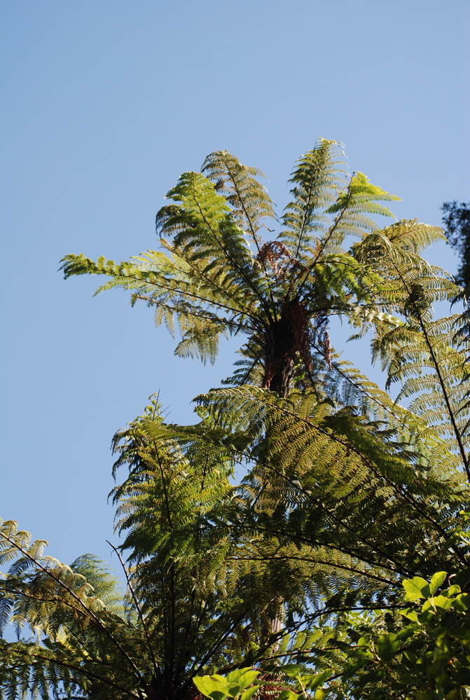 DSC_0140.JPG