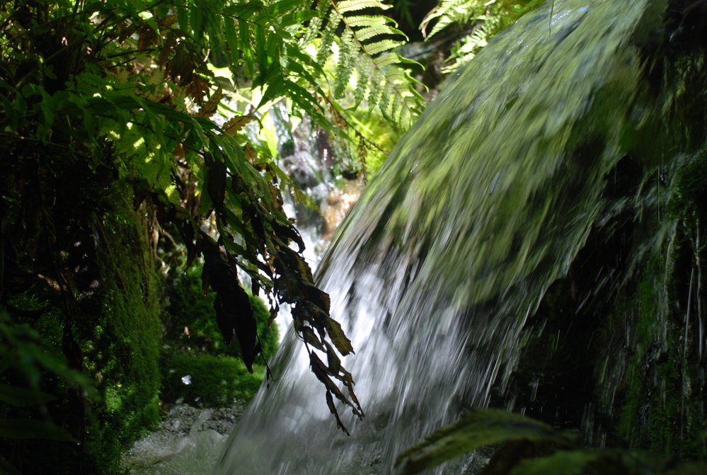 DSC_0146.JPG