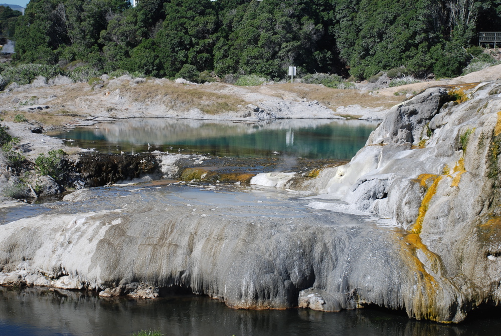 DSC_0155.JPG