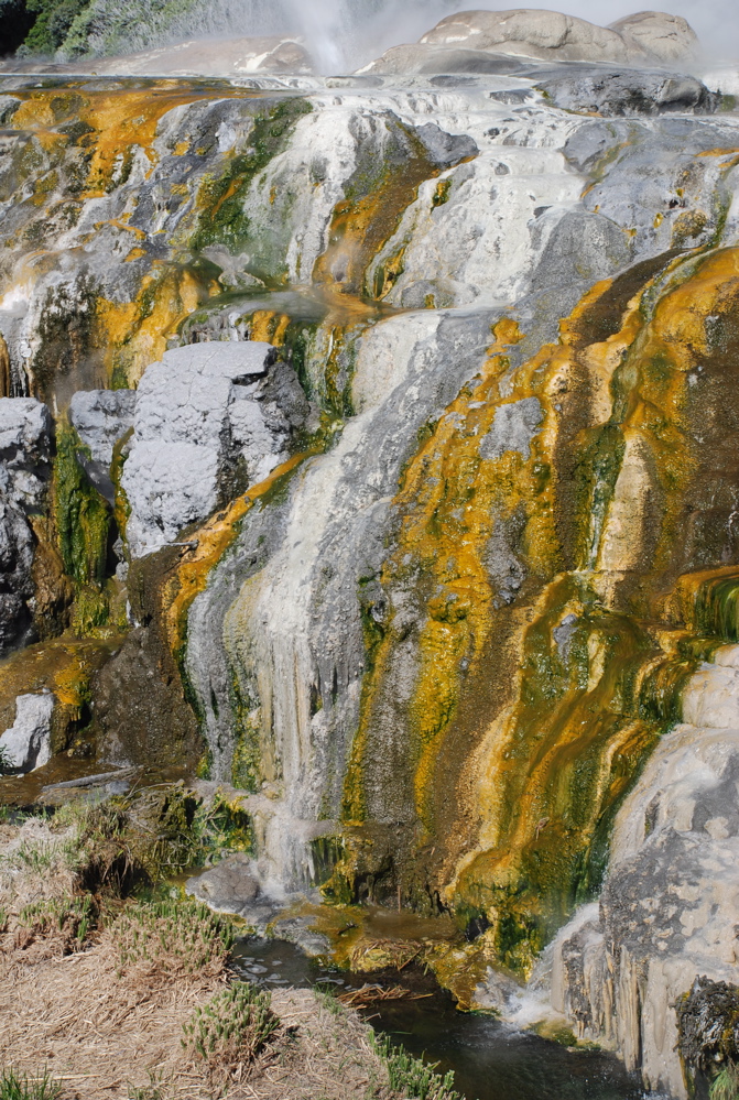 DSC_0157.JPG