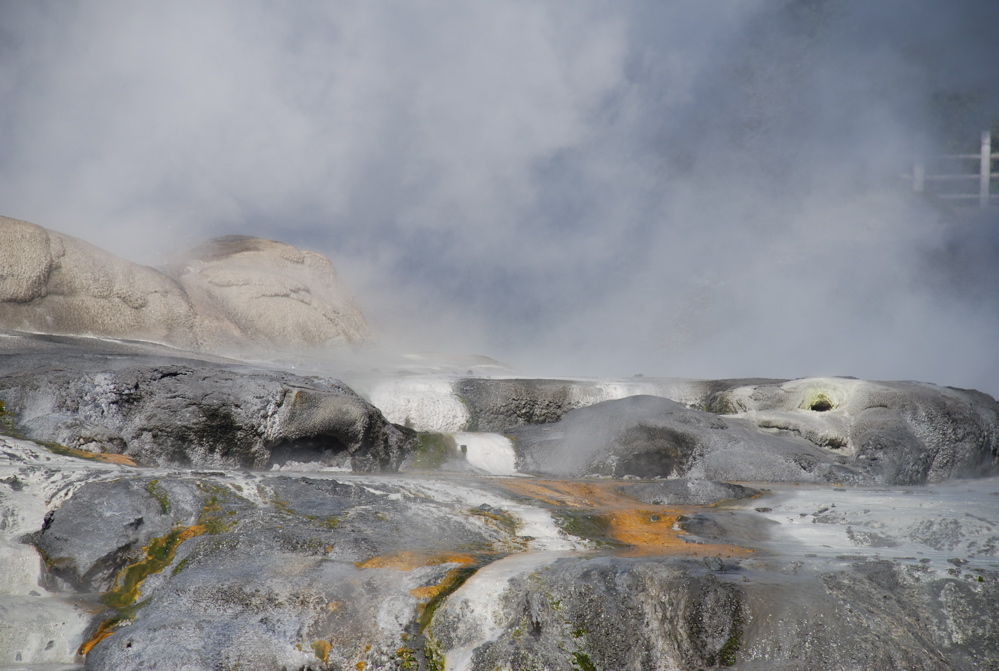 DSC_0159.JPG