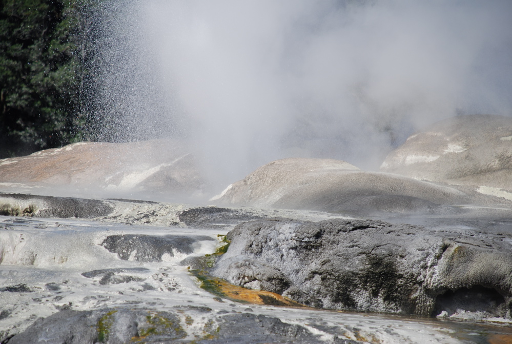 DSC_0161.JPG