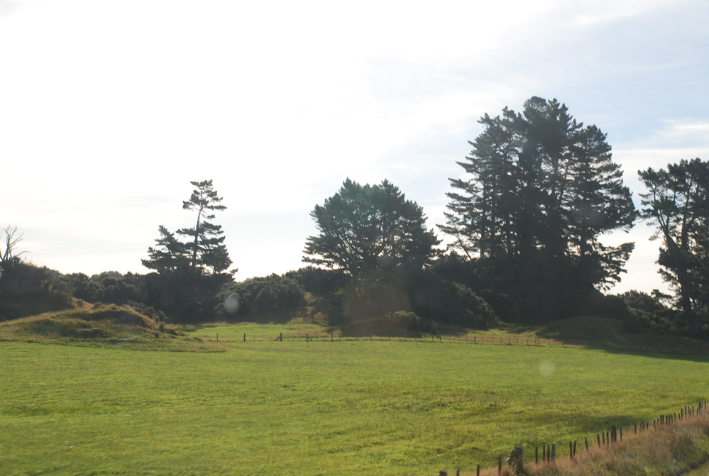 DSC_0190.JPG
