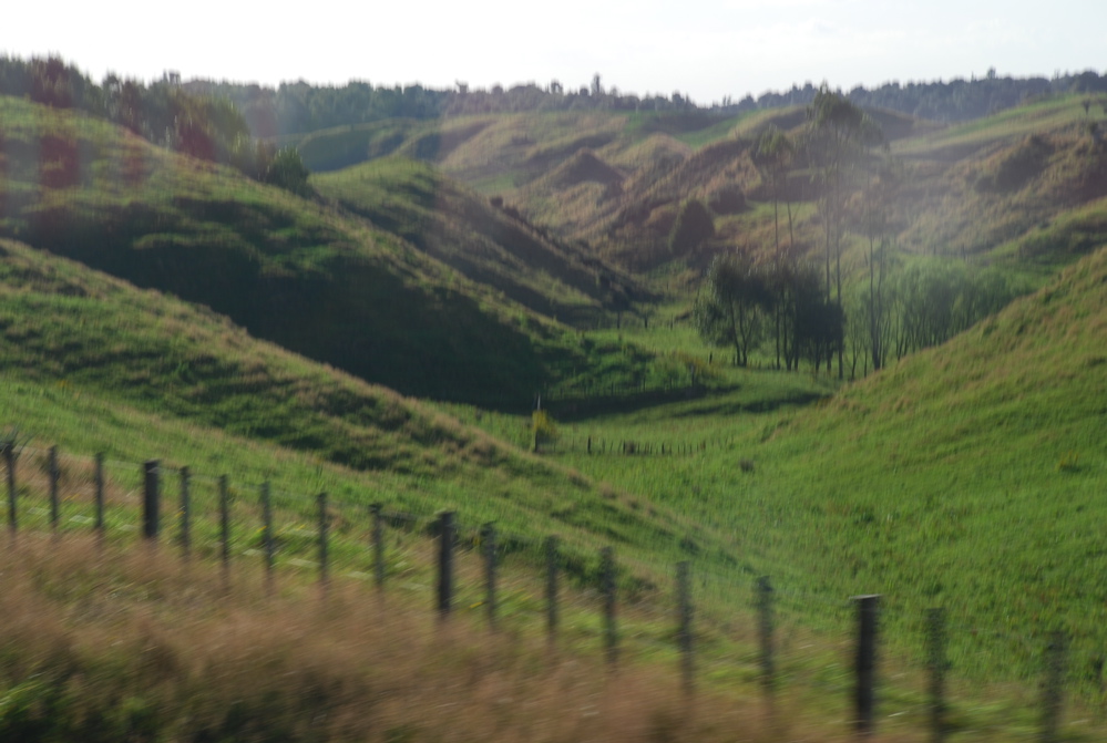 DSC_0193.JPG