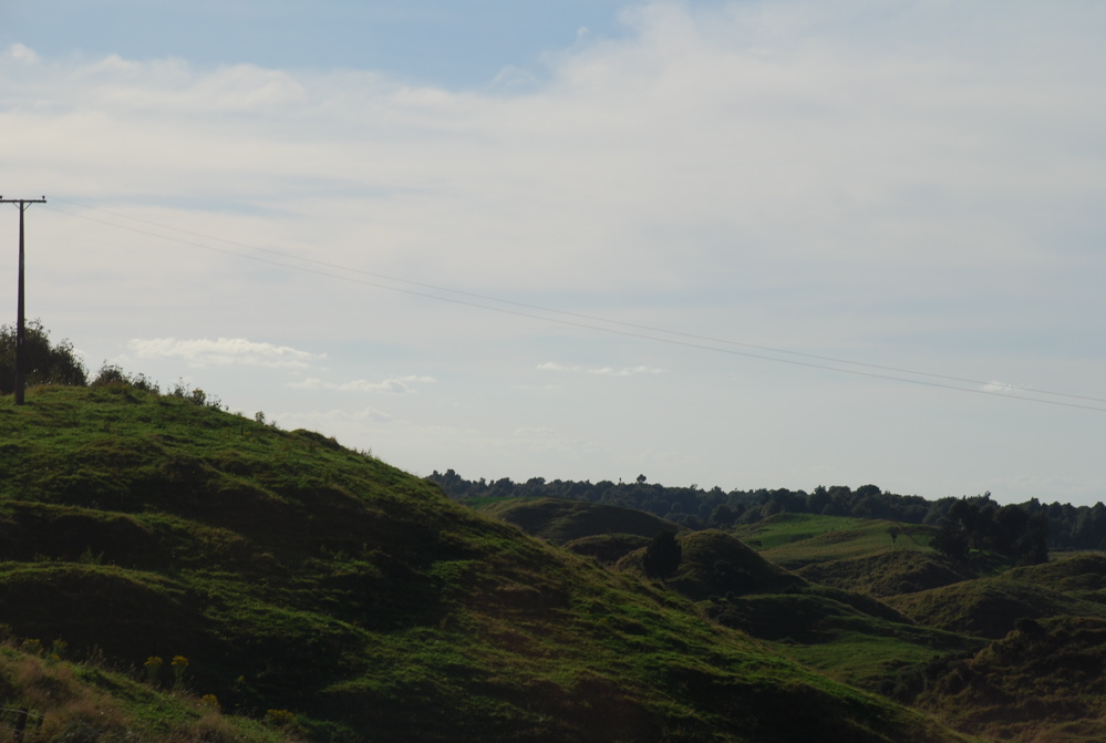 DSC_0194.JPG