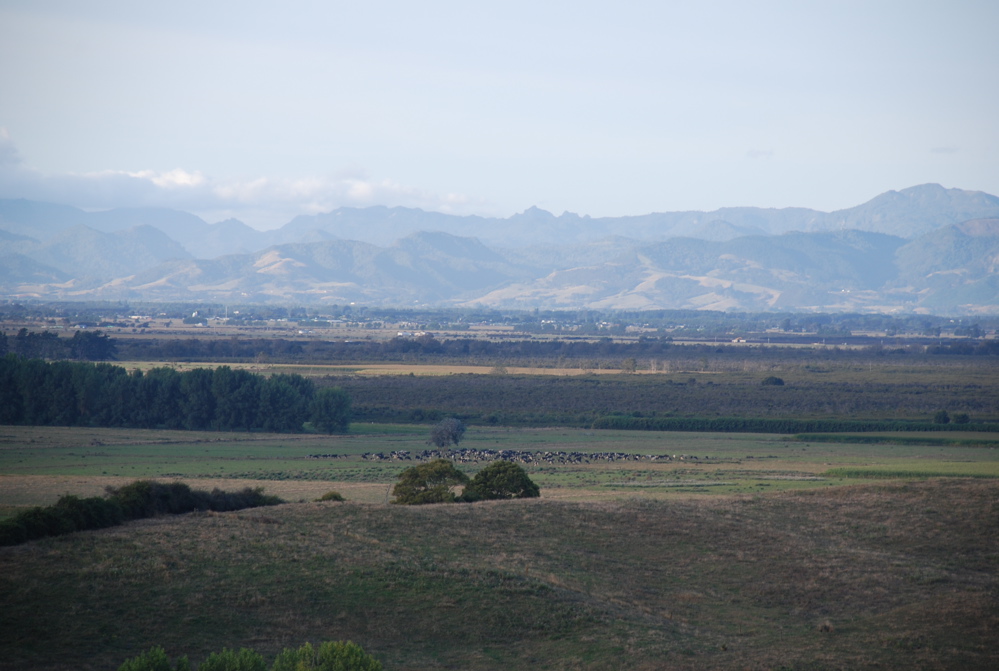 DSC_0200.JPG