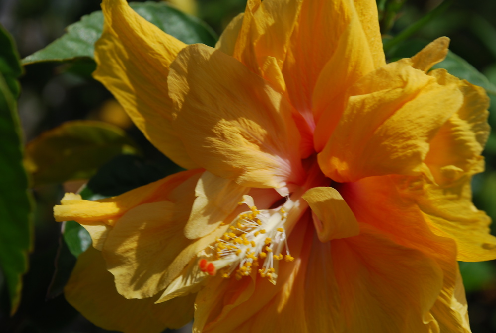 DSC_0213.JPG